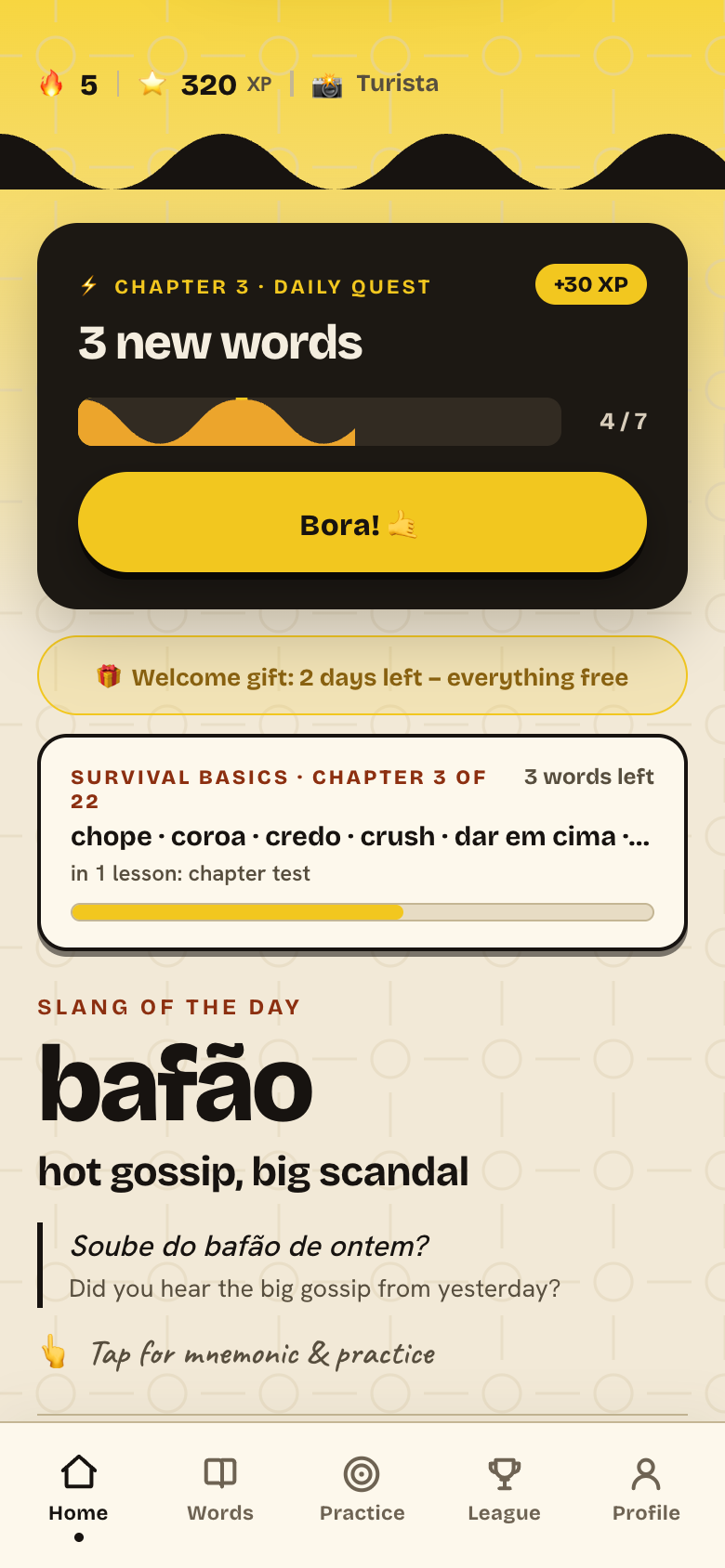 App screenshot: home screen with the guided lesson, chapter progress and slang of the day